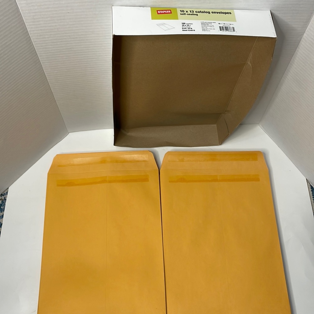 10 x 14 Catalog Self Sealing  Envelopes - Quantity 100